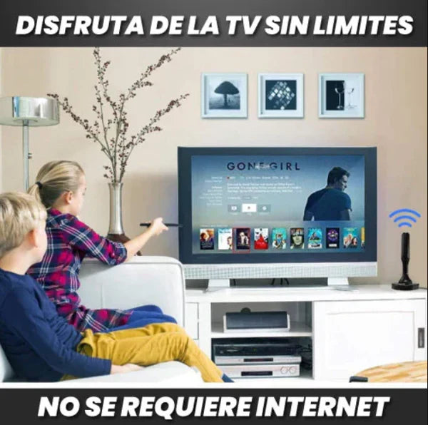 Antena Tv Digital HD modelo HOTV 3011
